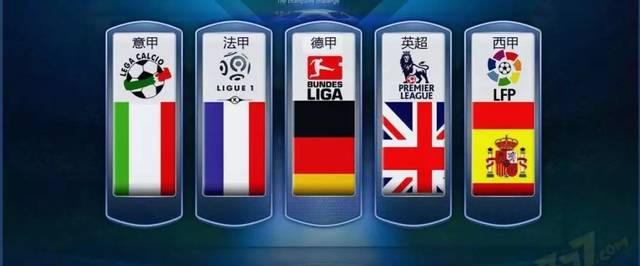 山东魏桥队 山东魏桥队